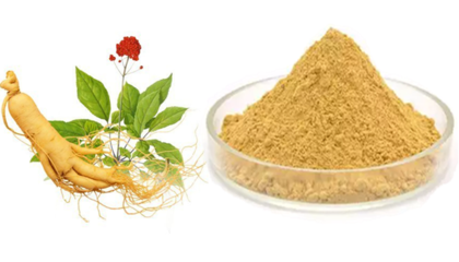 人參多糖10% 人參提取物 六盤韻