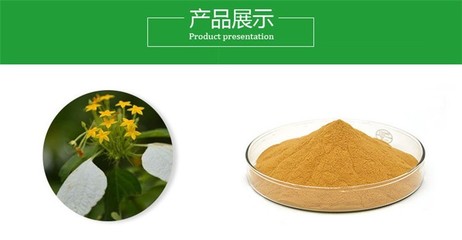 小茴香提取物 藥食同源產品 小茴香粉