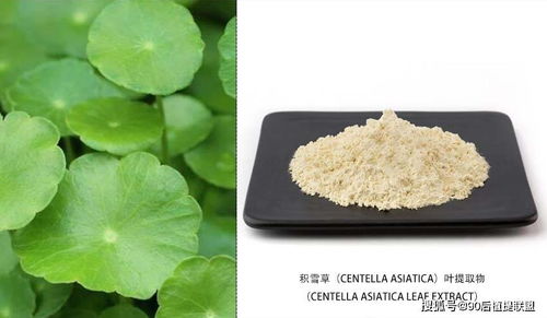 2020 最新植物提取物 化妝品原料 前沿?zé)狳c點評