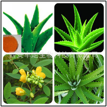 天然原料提取物_粉氨甲苯酸油_蘆薈蝦青素提取物_廠家批發(fā)_采購價格 