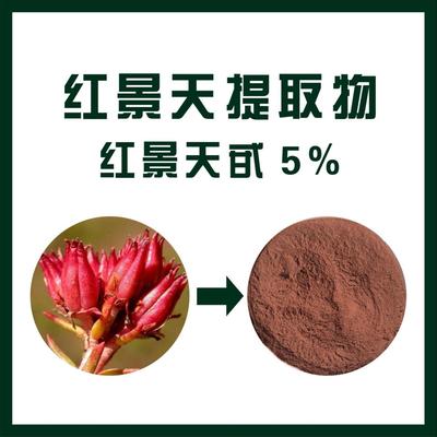 北京洋甘菊提取物生產(chǎn)商