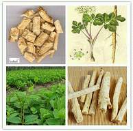 中國天然植物提取物行業(yè)市場淺析