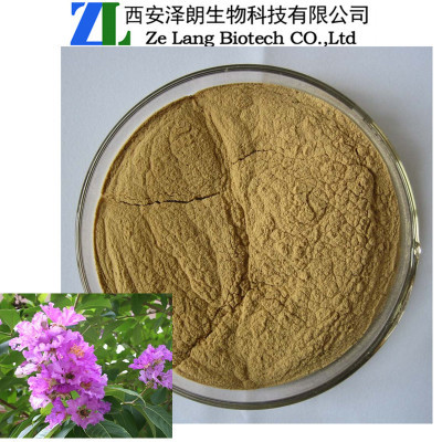 巴拿馬提取物中的科羅索酸 醫(yī)藥級植物提取物的應(yīng)用與優(yōu)勢