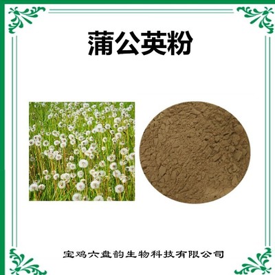 蒲公英速溶粉 天然植物提取物的營養(yǎng)瑰寶