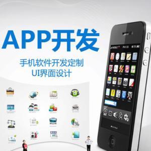 武漢APP定制開發(fā)與微信小程序設計 打造您的移動數(shù)字化解決方案