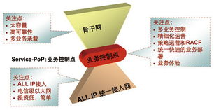 面向全業務的城域網技術與業務網絡服務